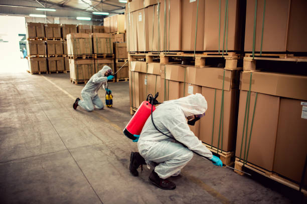 Best Best Pest Control Companies  in Holly Hills, CO