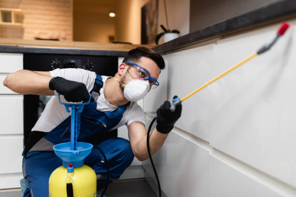 Best Termite Control Services  in Holly Hills, CO