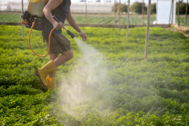 Best Best Pest Control Companies  in Holly Hills, CO