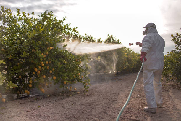 Best Bird Control  in Holly Hills, CO