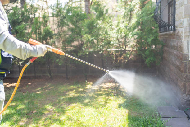 Best Pest Control for Businesses  in Holly Hills, CO