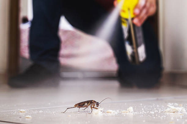 Best Bed Bug Extermination  in Holly Hills, CO