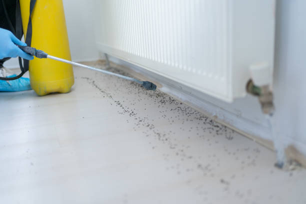 Best Wildlife Control Services  in Holly Hills, CO